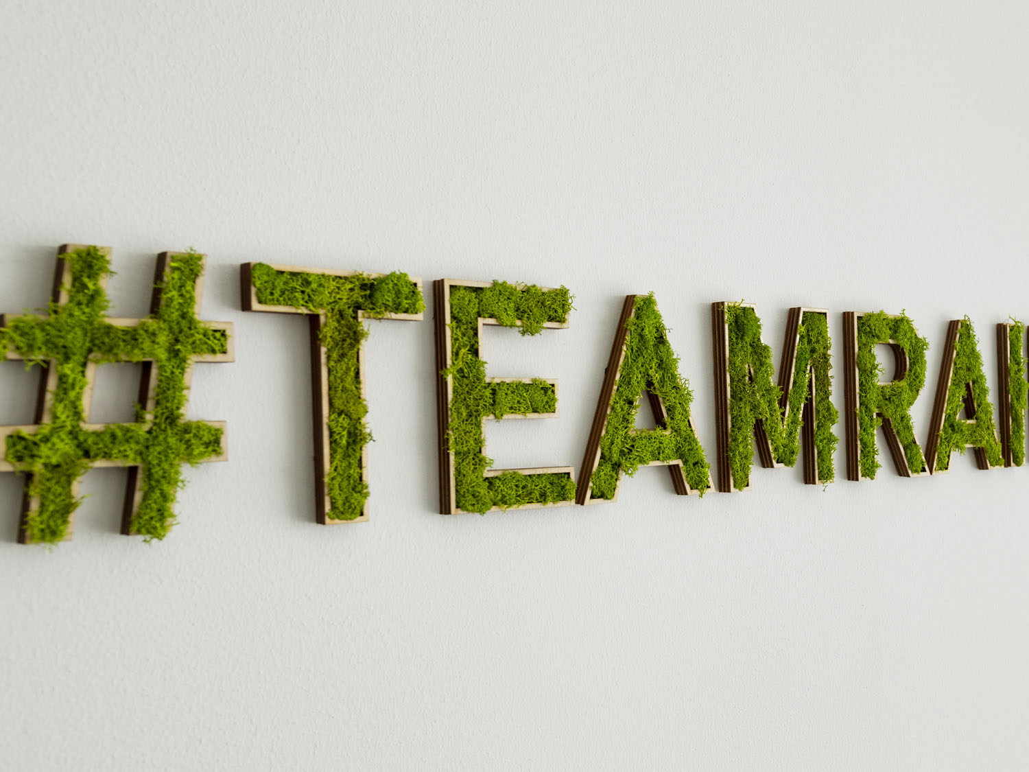 Moosbuchstaben für Gemeinschaftsraum im Büro. Natürliche Eleganz für Räume